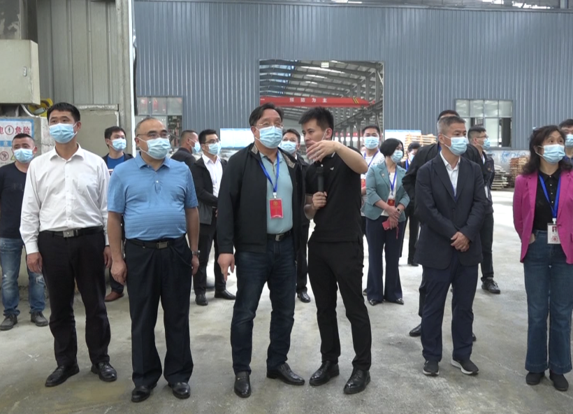 市政协专题视察我县“矿山生态修复与治理情况”