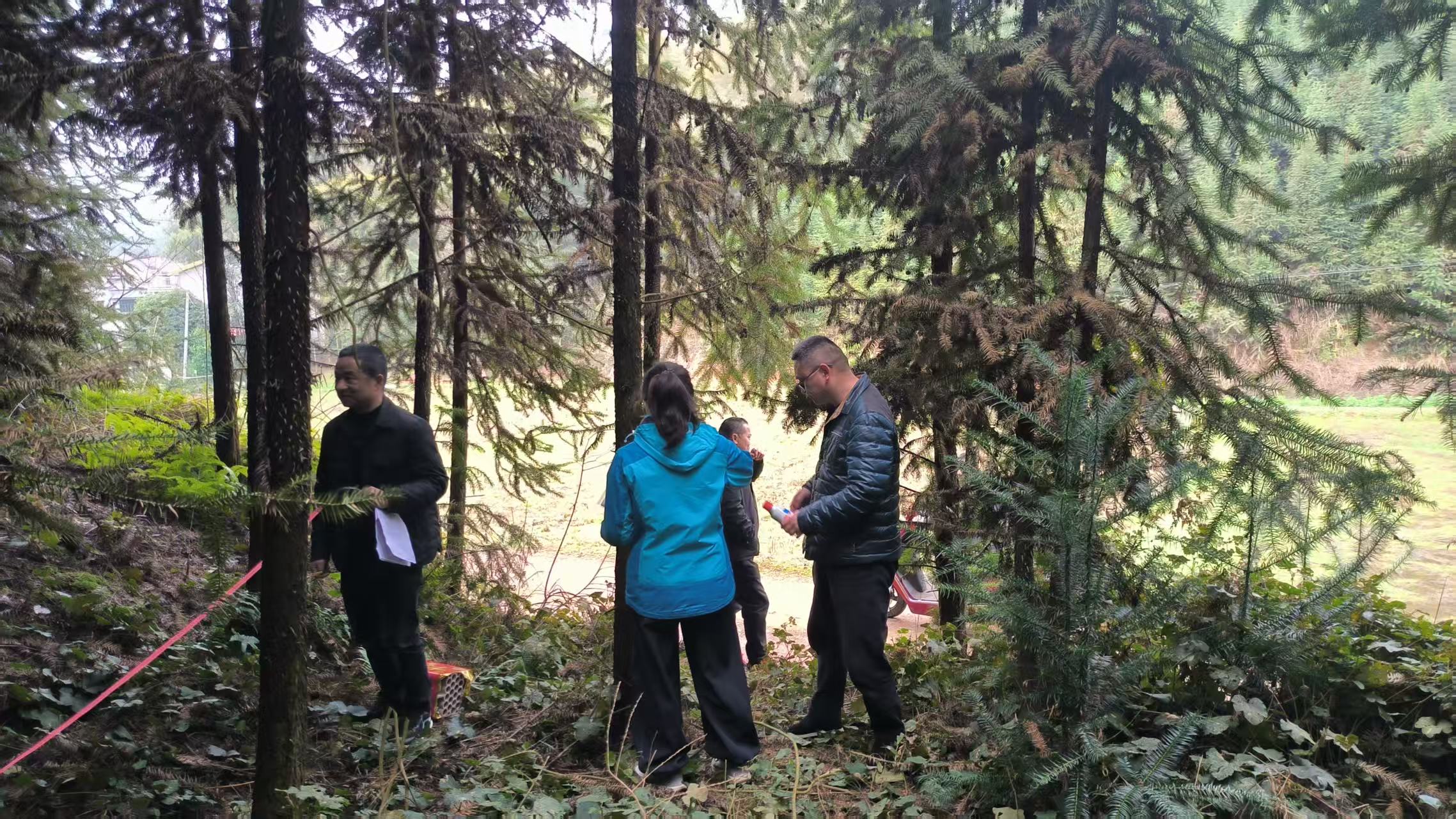 鼎城区开展国土绿化综合项目作业设计
