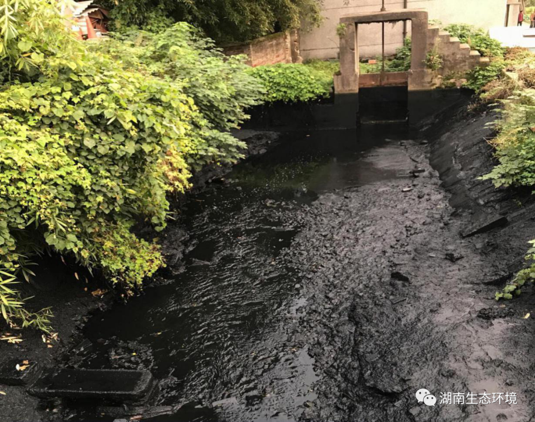 【典型案例通报（二十一）】湘潭市部分黑臭水体整治避重就轻 不严不实