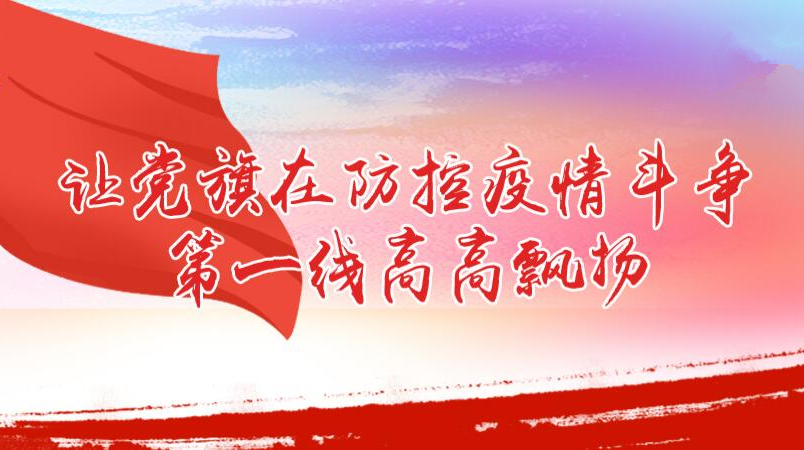 雨湖区：让党旗在防控疫情斗争第一线高高飘扬