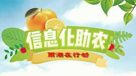 信息化助农，雨湖在行动