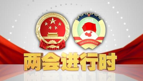 雨湖区“两会”进行时