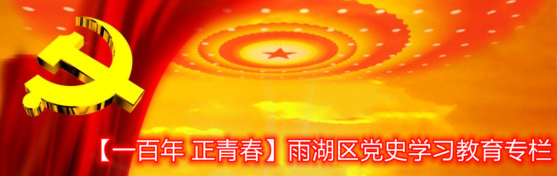 【一百年 正青春】雨湖区党史学习教育专栏