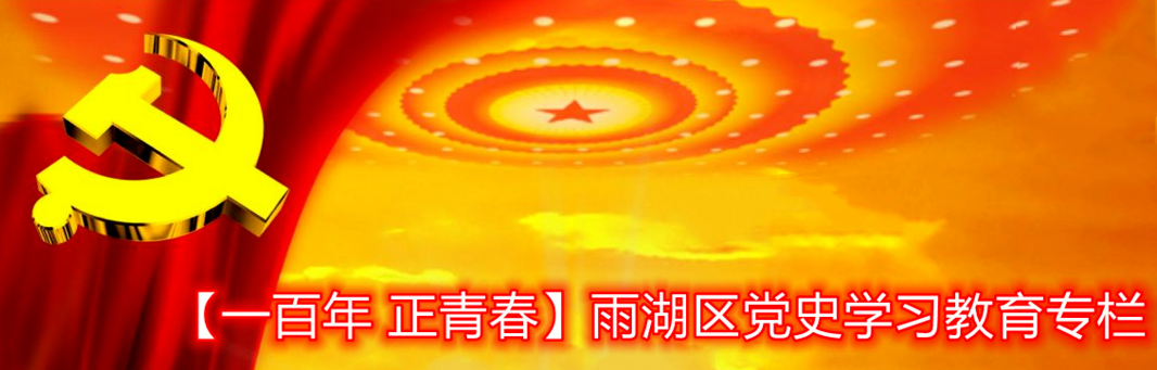 【一百年 正青春】雨湖区党史学习教育专栏