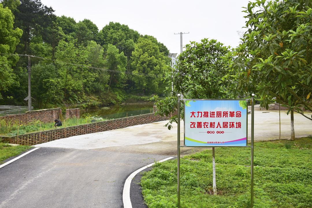 雨湖区积极响应文明城市创建——美丽屋场入画来