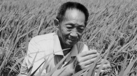 袁隆平逝世