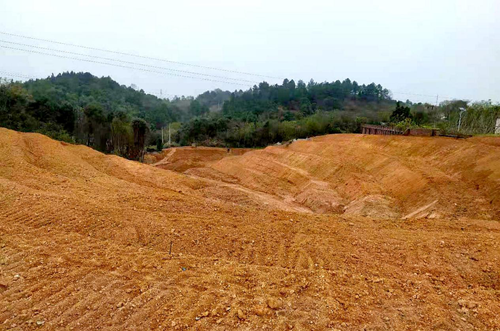 楠竹山镇：思路定出路  荒地焕新颜