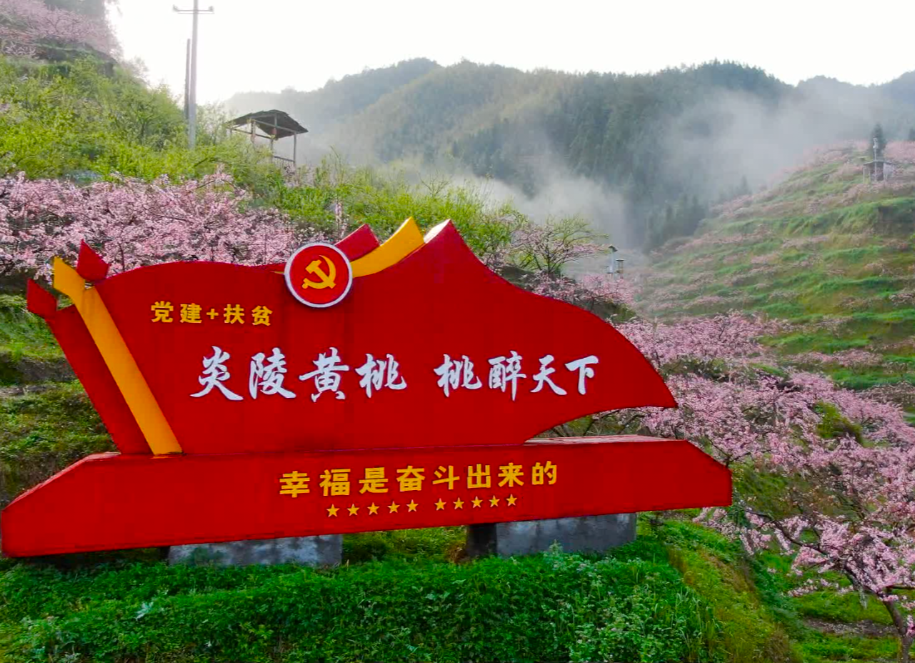 2020年湖南炎陵线上桃花节直播活动3月28日举行
