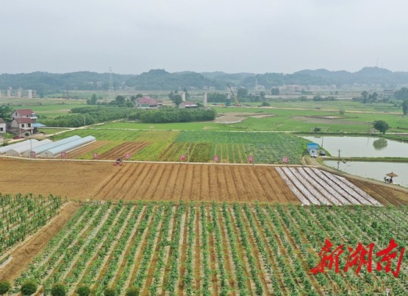 走向我们的小康生活｜“最美乡村应该就是我们八一村这个样子”