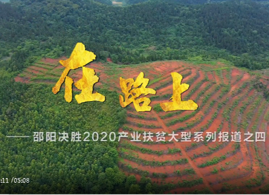 在路上丨邵阳县油斯村：脱贫的必“油”之路