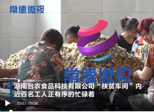 常德微视·走向我们的小康生活 小车间承担扶贫大使命