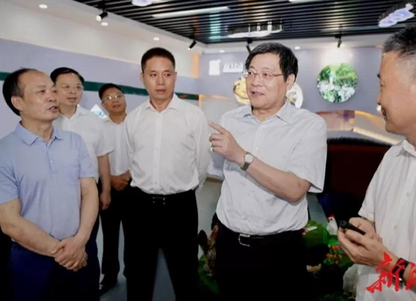 湖南省委书记为何称赞这家企业“六年不见，刮目相看”？