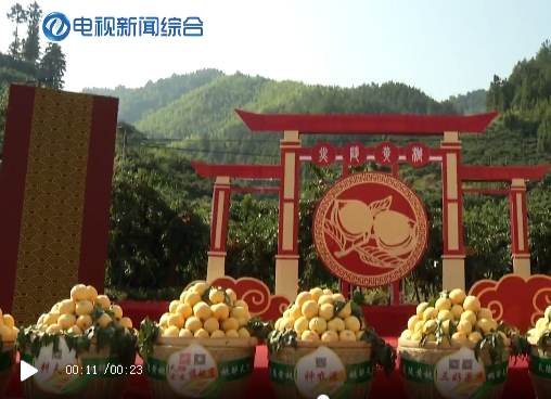 5.1万吨炎陵黄桃即将上市！本周五晚请在抖音搜索“直播株洲”下单