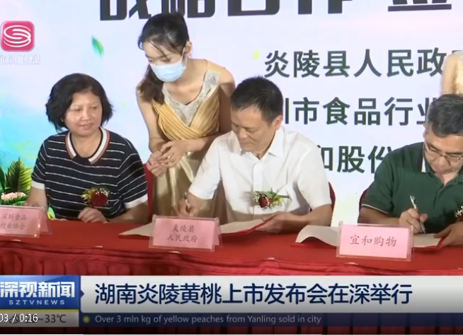 湖南炎陵黄桃上市发布会在深举行