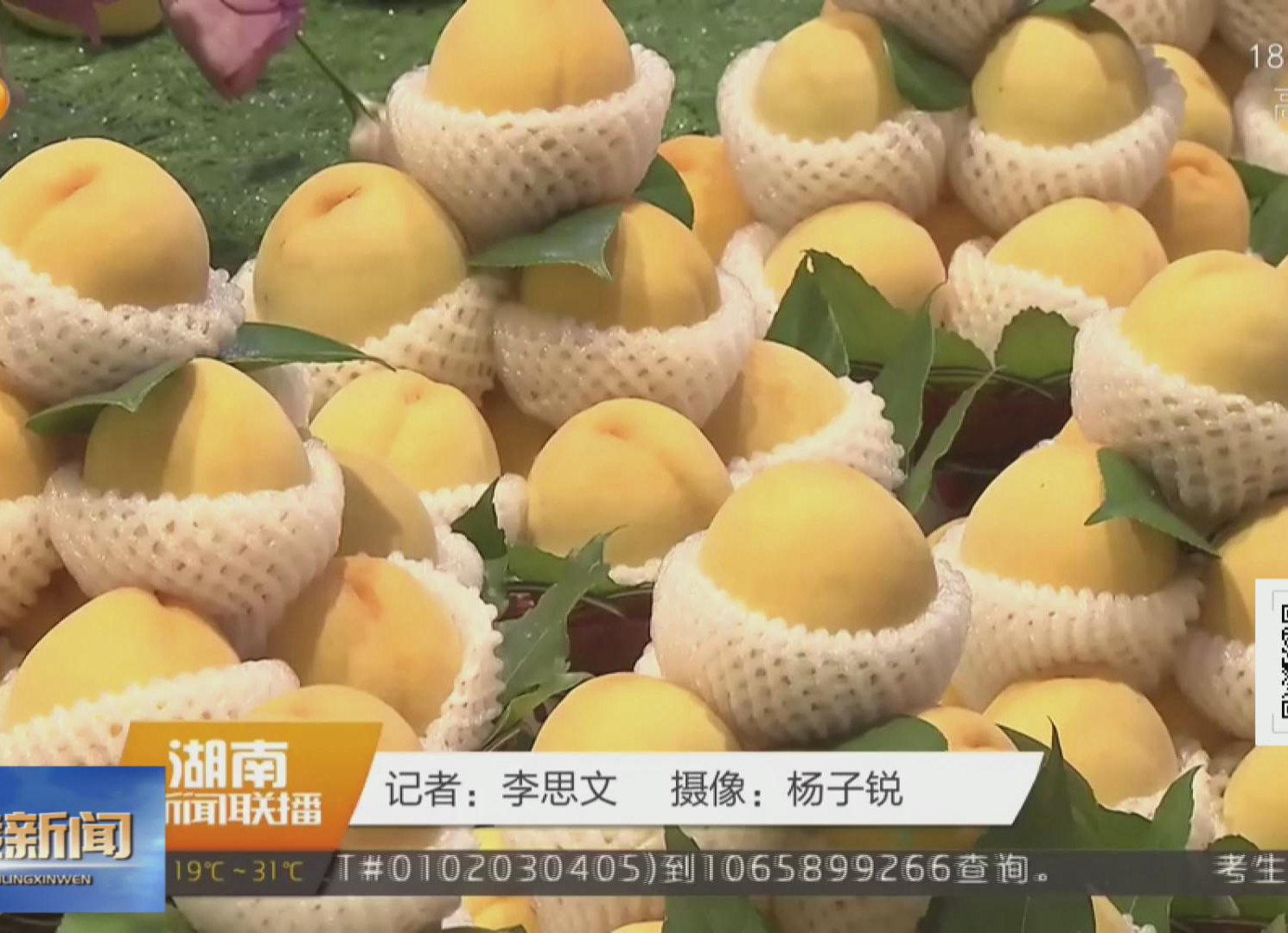 《湖南新闻联播》播出《炎陵黄桃甜蜜上市 预计产量超5.1万吨》【视频】