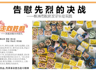 告慰先烈的决战——株洲市脱贫攻坚生动实践