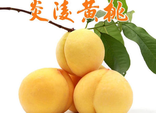 8月14日炎陵黄桃供货信息及酒店客房预定情况