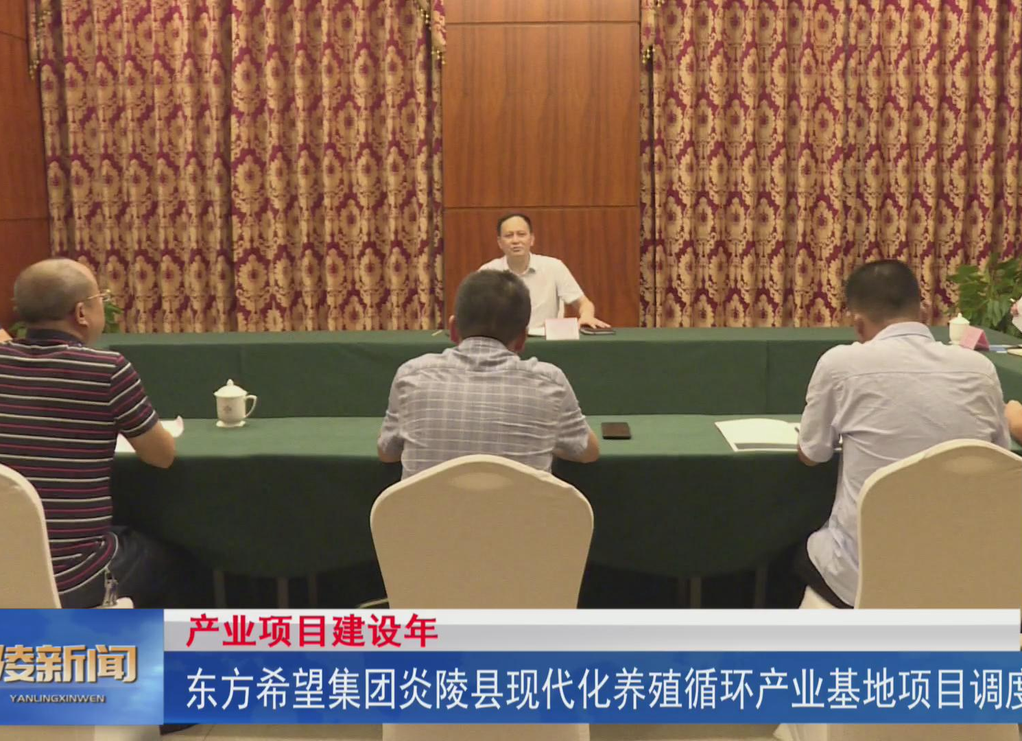 【产业项目建设年】东方希望集团炎陵县现代化养殖循环产业基地项目调度会召开