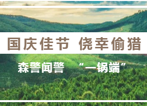 国庆佳节侥幸偷猎 森警闻警“一锅端”