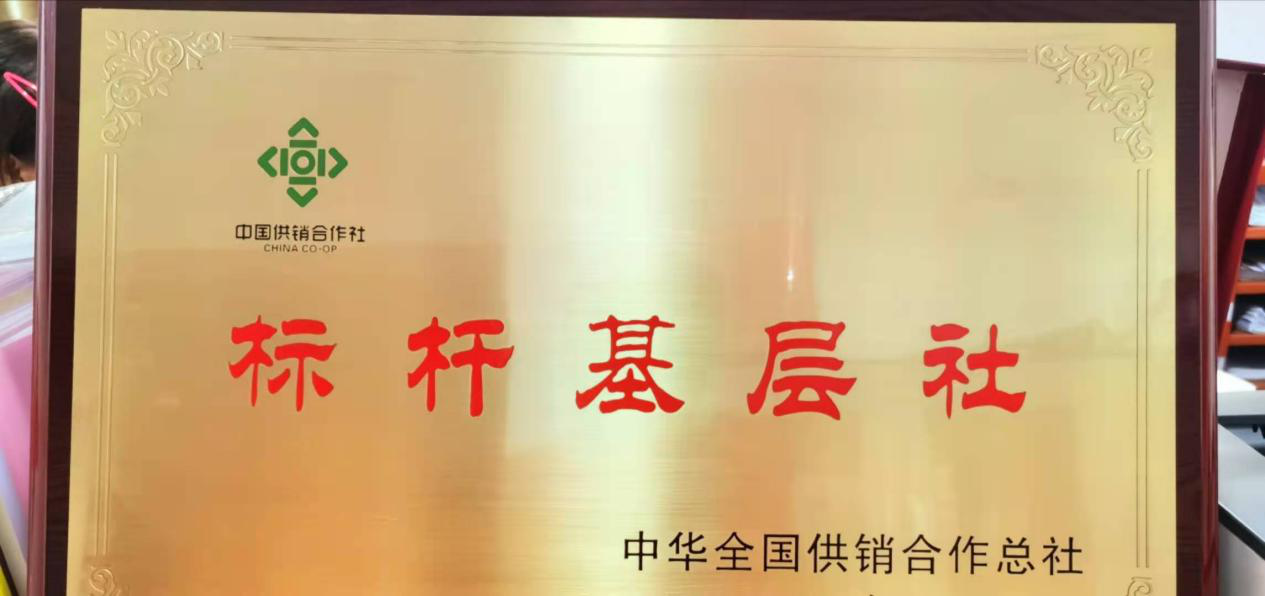 重磅！炎陵供销产生2个全国“标杆基层社”