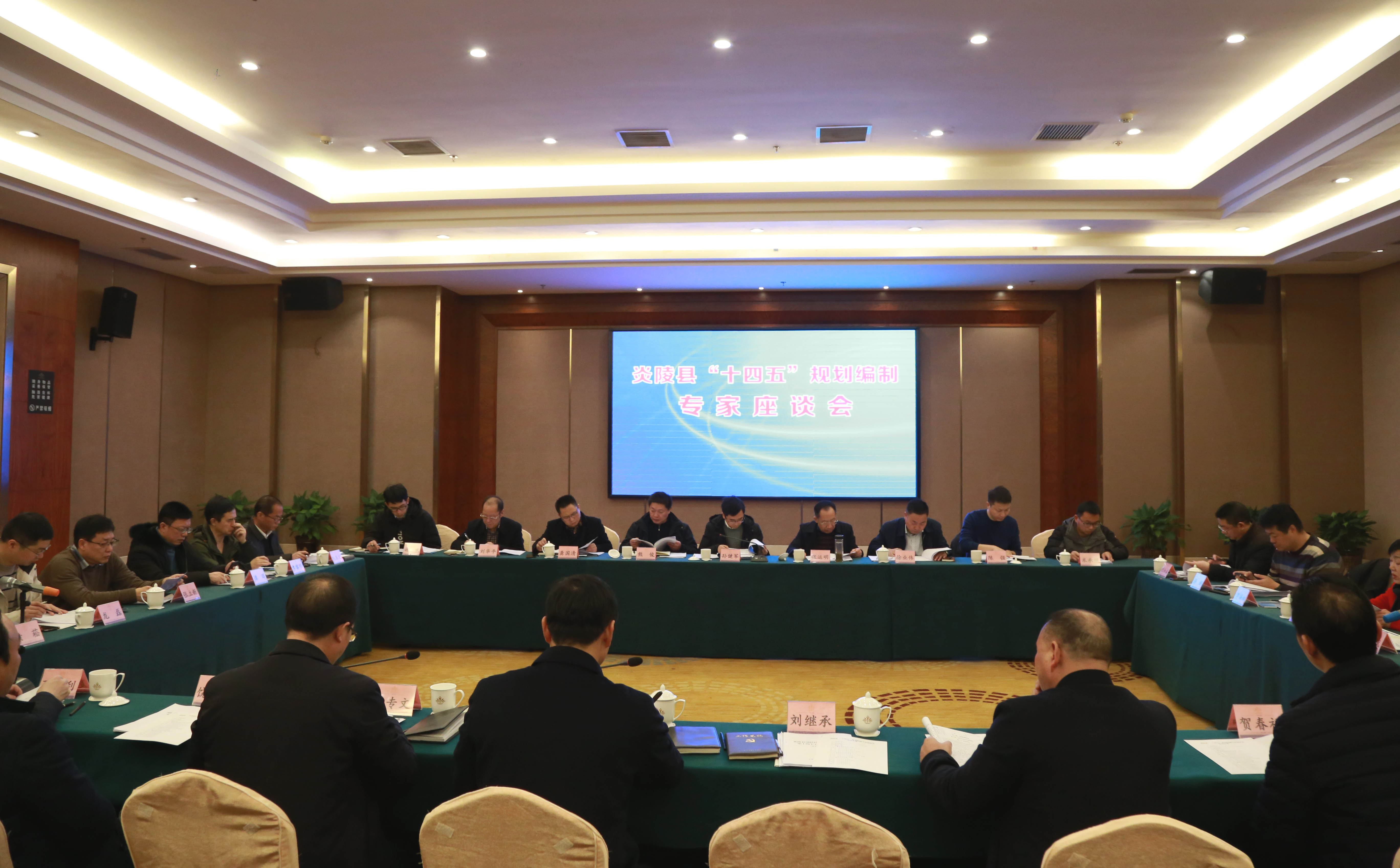 炎陵县召开“十四五”规划编制专家座谈会 广泛征求各界意见建议