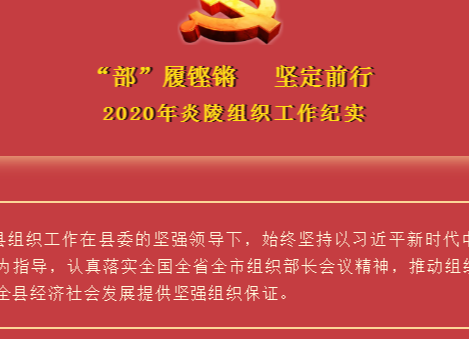“部”履铿锵 坚定前行——2020年炎陵组织工作纪实