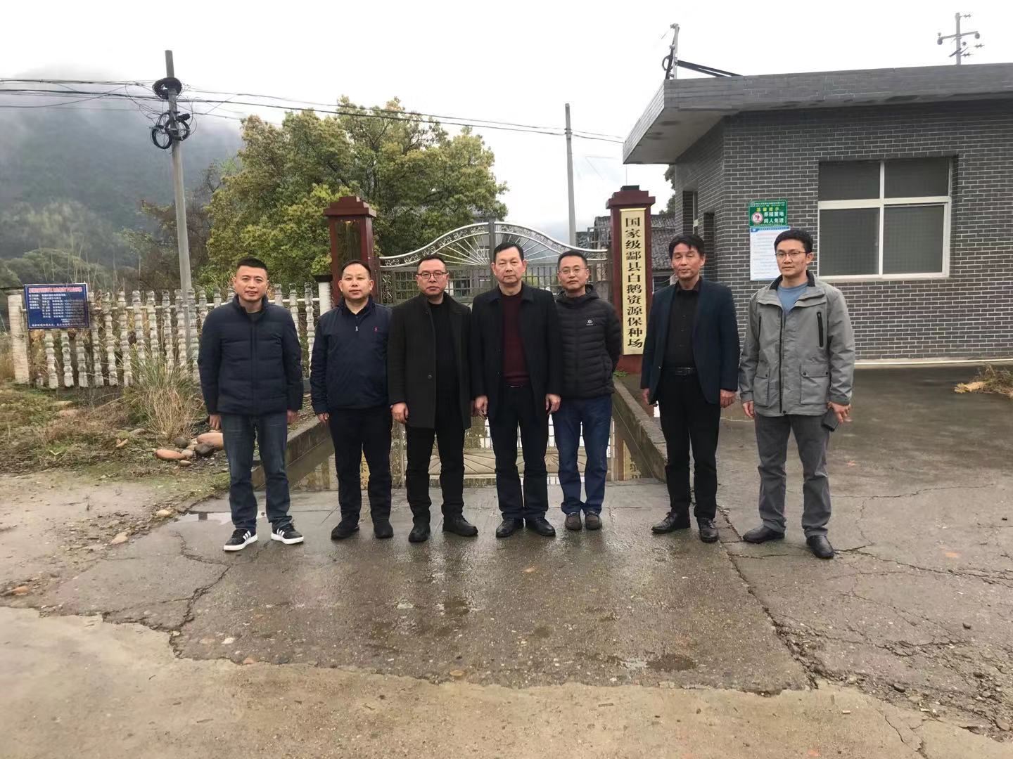省畜牧兽医研究所来炎考察炎陵白鹅种质资源保护工作