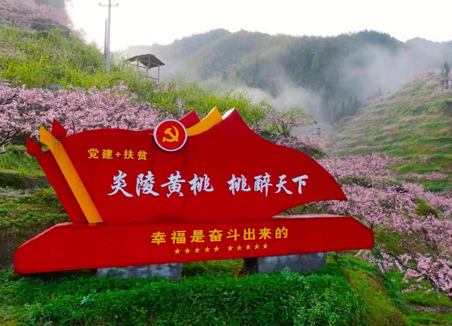 中国炎陵·黄桃小镇·桃花节 3月12日上午10：00绚丽开幕