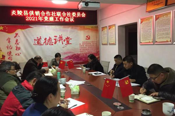 炎陵县供销联社开展2020年度  基层党支部书记党建工作述职评议