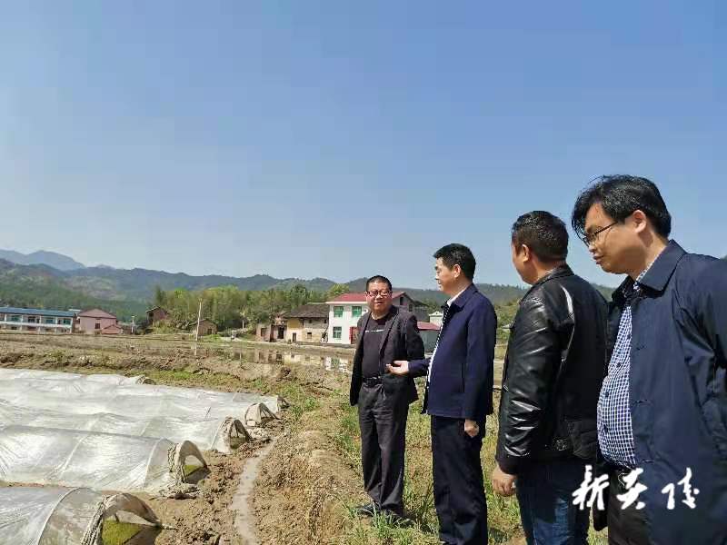 株洲市农业农村局督查炎陵春耕生产