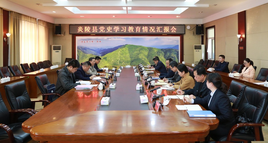市委巡回指导组第三组来炎指导党史学习教育工作