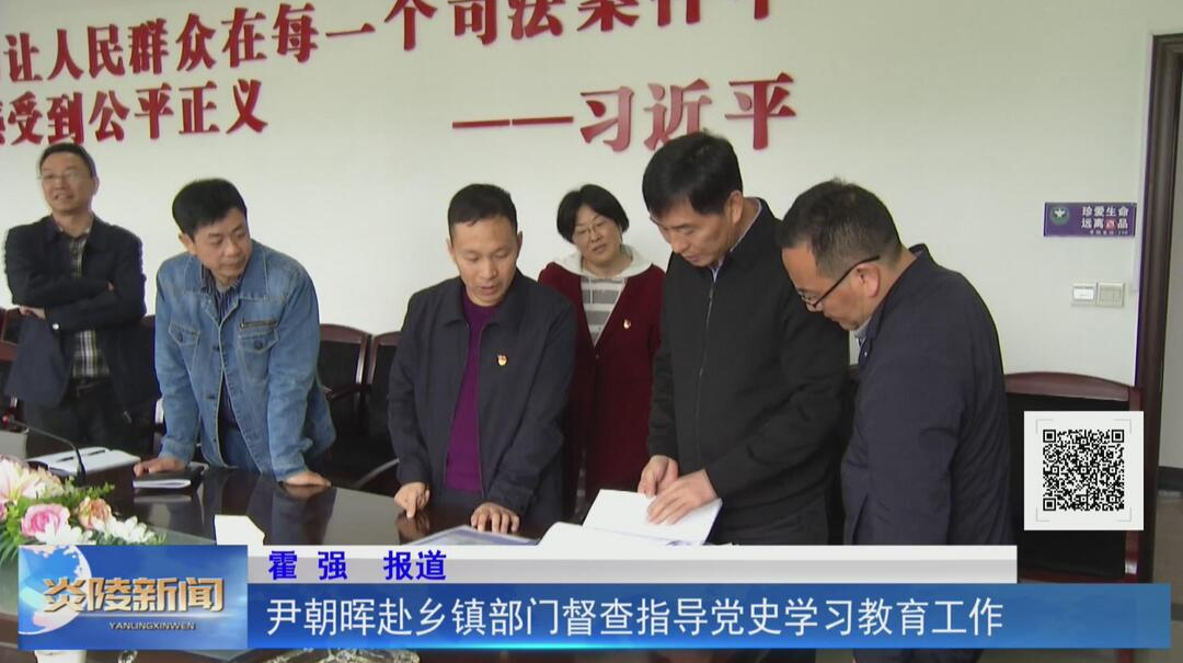 尹朝晖赴乡镇部门督查指导党史学习教育工作【视频】