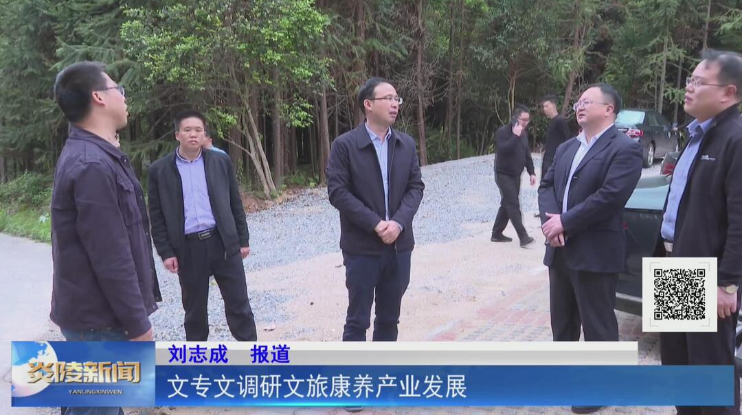 文专文调研文旅康养产业发展【视频】