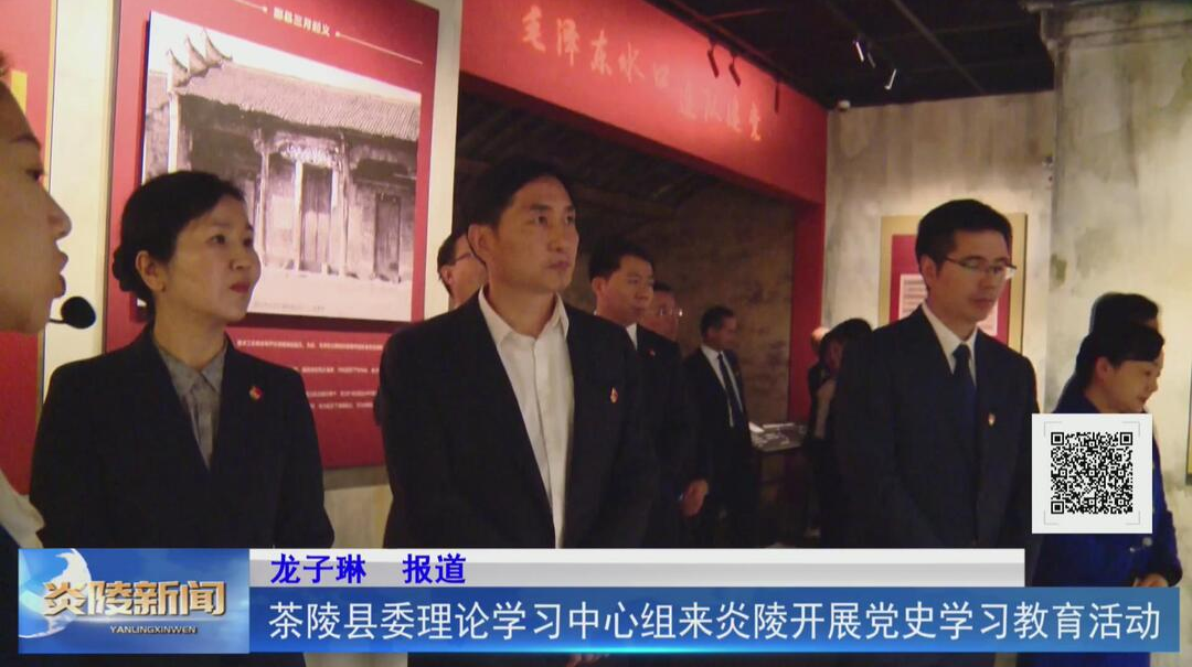 茶陵县委理论学习中心组来炎陵开展党史学习教育活动【视频】