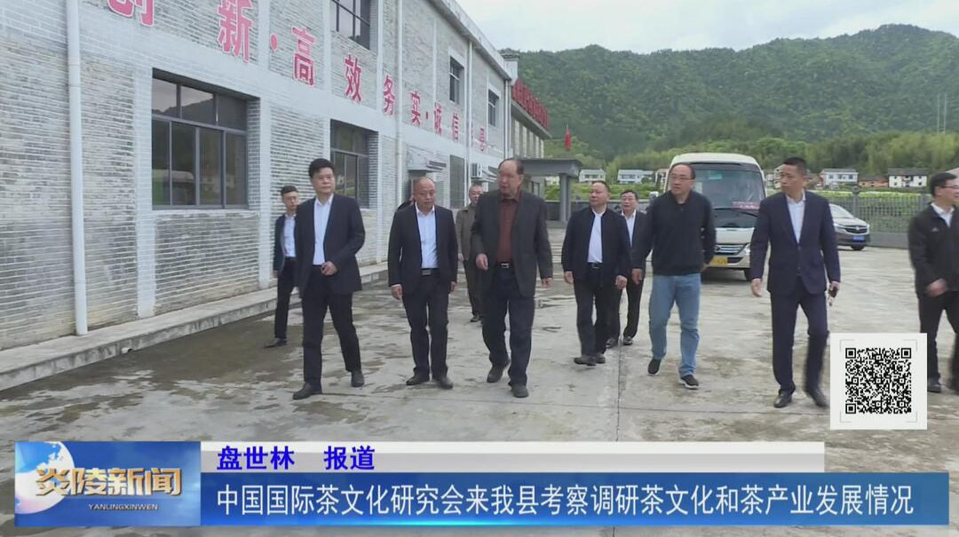 中国国际茶文化研究会来我县考察调研茶文化和茶产业发展情况【视频】