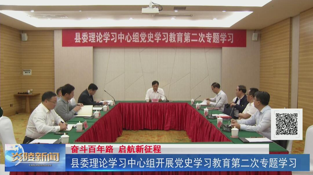 县委理论学习中心组开展党史学习教育第二次专题学习【视频】
