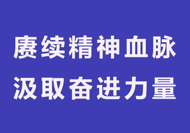 赓续精神血脉 汲取奋进力量（奋斗百年路 启航新征程·学党史 悟思想 办实事 开新局）