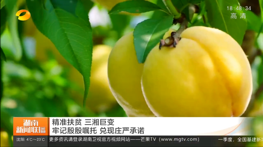 湖南卫视报道：精准扶贫 三湘巨变 牢记殷殷嘱托 兑现庄严承诺