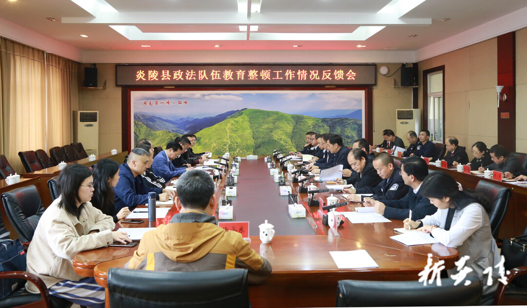 省政法队伍教育整顿第三巡回指导组向炎陵县反馈督导情况