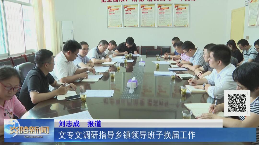 文专文调研指导乡镇领导班子换届工作【视频】