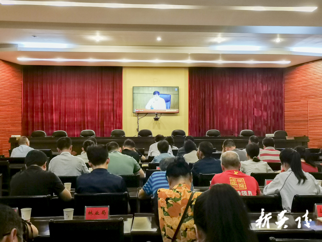 炎陵县组织收看全省政务管理服务工作电视电话会议