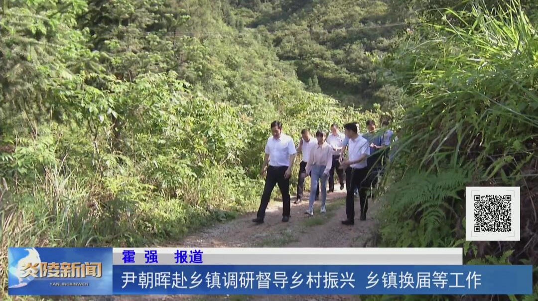 尹朝晖赴乡镇调研督导乡村振兴、乡镇换届等工作【视频】