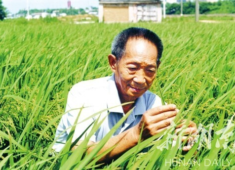 “杂交水稻之父”走了，留给我们无尽的思念