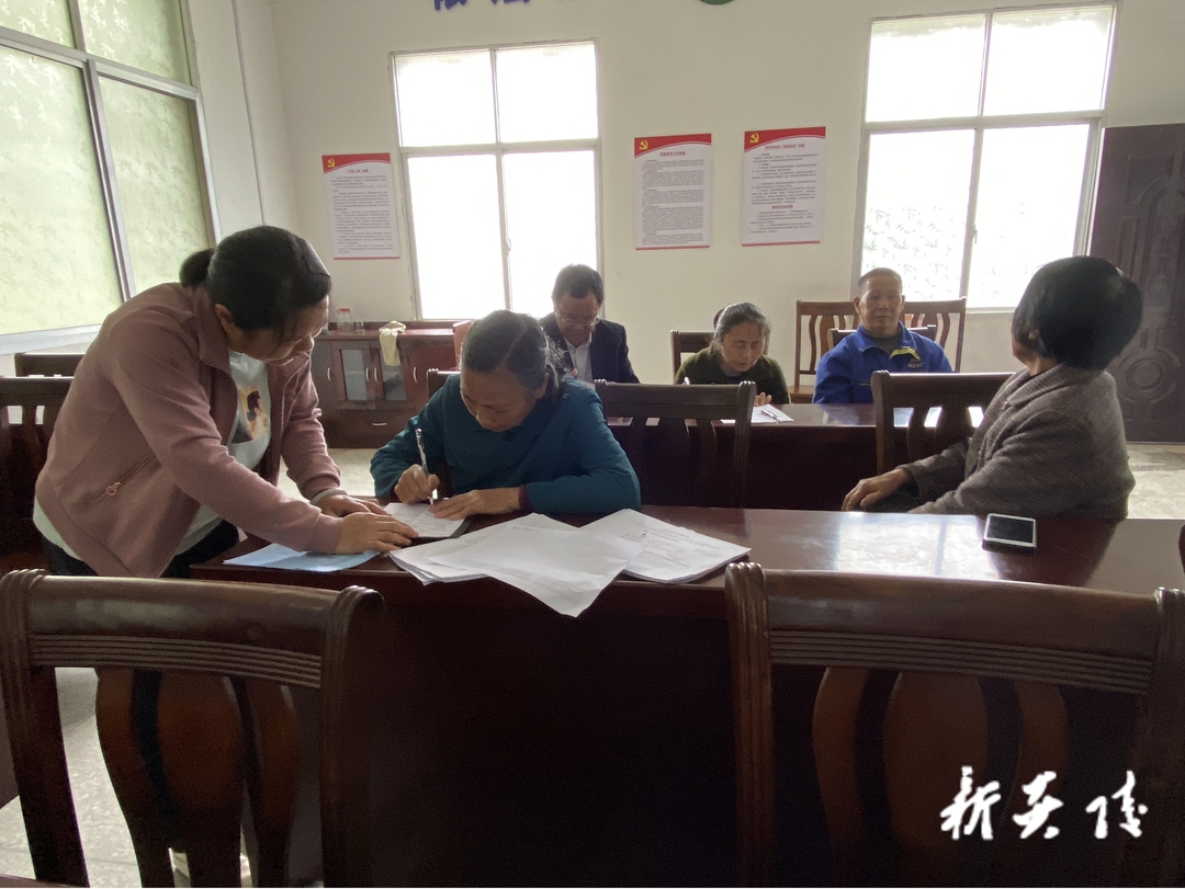 炎陵县部门乡镇积极开展“我为群众办实事”活动