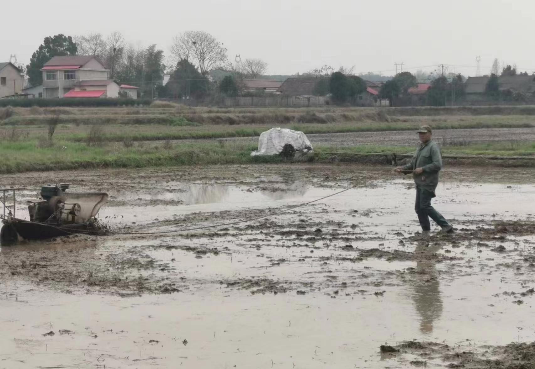 黄土店镇：春回大地万物苏 春耕备耕正当时