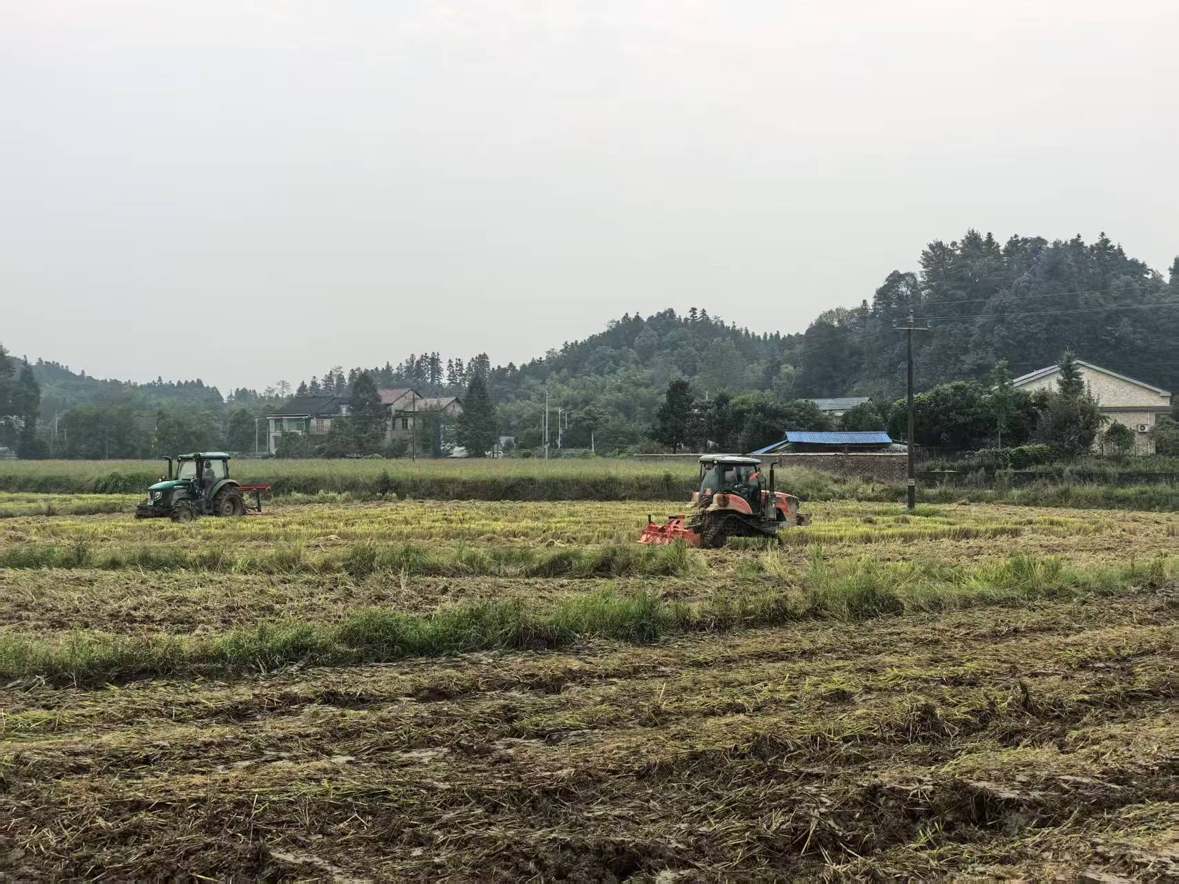 黄土店镇：召开秸秆禁限烧暨综合利用现场推进会