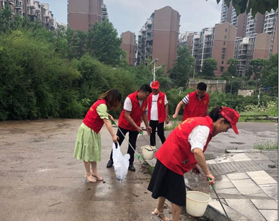 朝阳村“衡阳群众”志愿者上路清扫美化环境