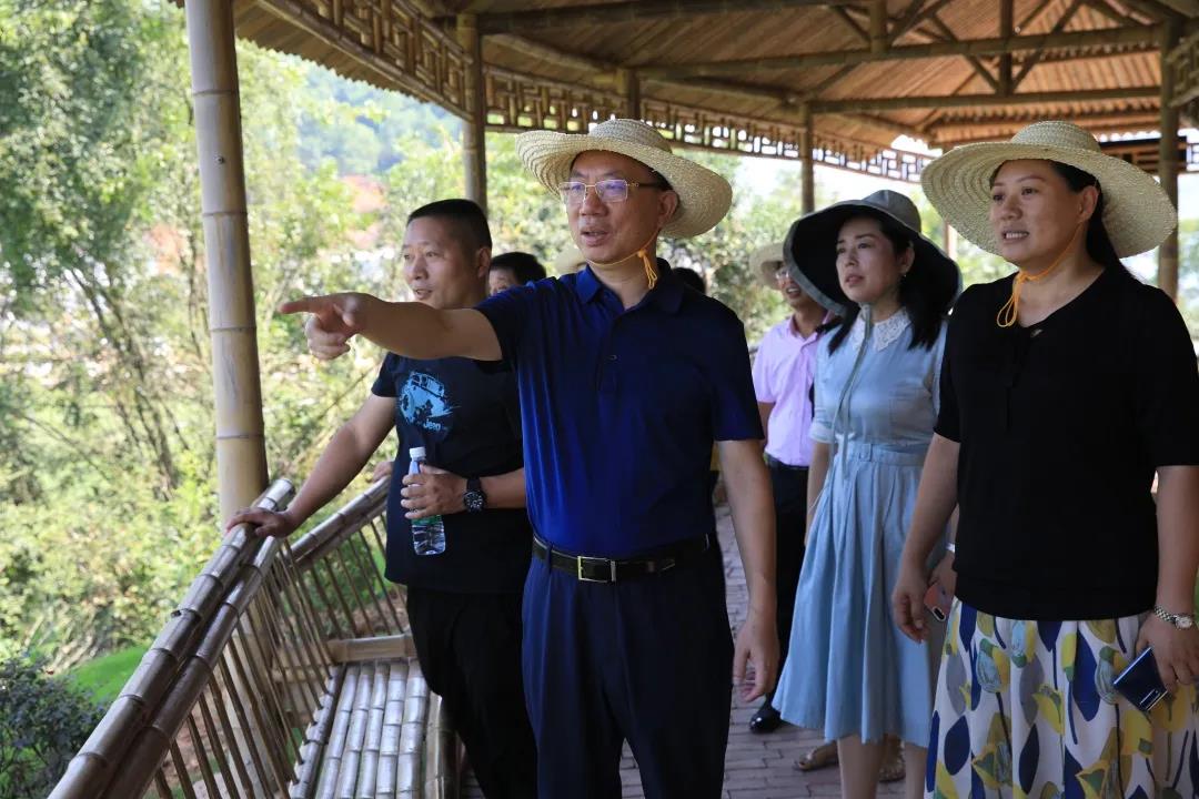 区长带你去调研！要打造有田园、有情怀、有乡韵、有活力的景区式村庄