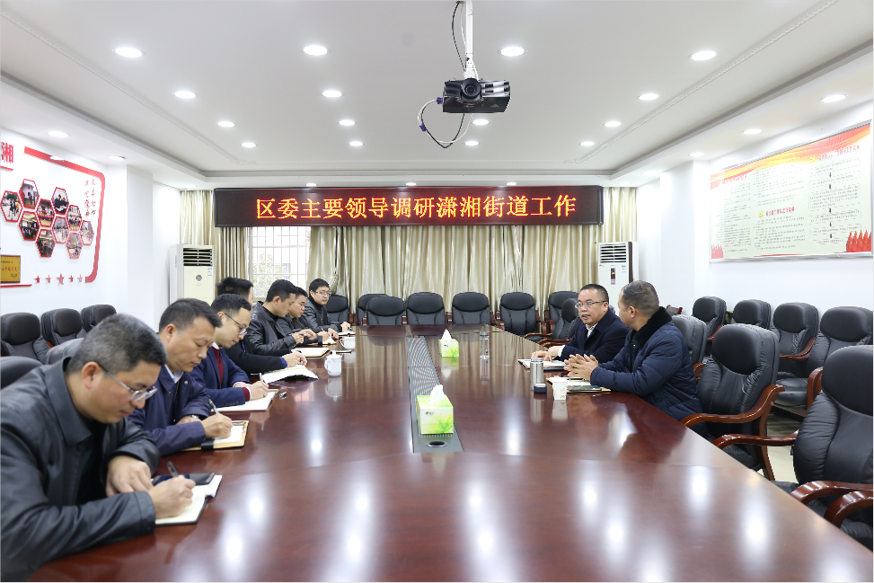 颜和平在潇湘街道调研：为建设“宜居宜业宜创宜游锦绣新石鼓”贡献力量