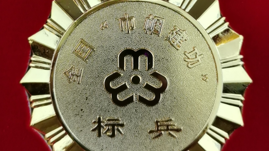 全国妇联表彰石鼓了不起的“她”